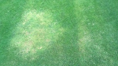 WP_20170911_004.jpg