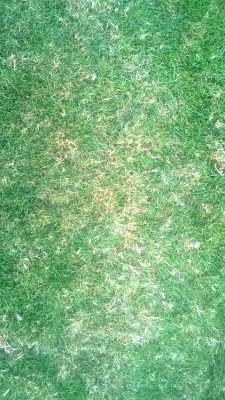 WP_20170911_008.jpg
