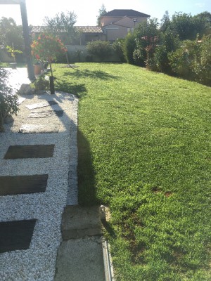 Le 19 septembre, après engrais Boost qu'il me restait en stock et petite déco!!