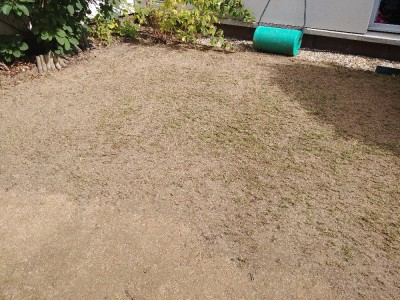 20170917_120122.jpg