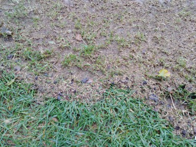 20170917_183157.jpg