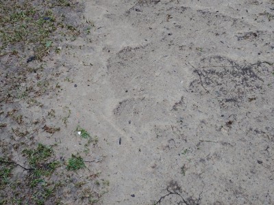 20170917_183203.jpg