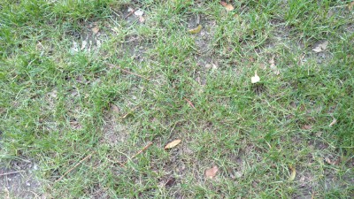 IMG_20170921_173714712.jpg