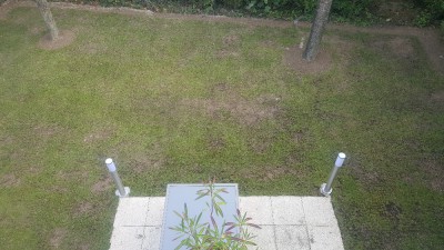 20170922_094537.jpg