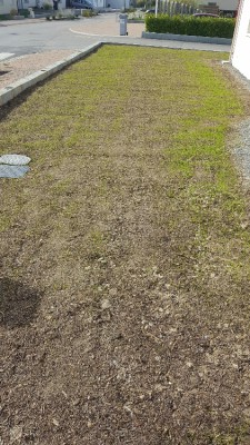 20161020_135903.jpg