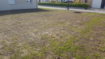 20161020_135740.jpg