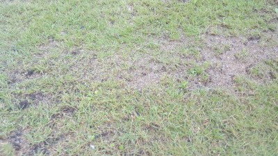 20170924_115213.jpg