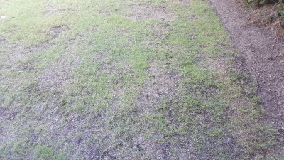 20170924_120018.jpg