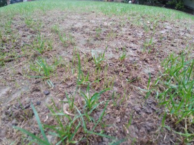 20170926_083405.jpg
