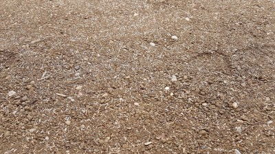 20170915_121716.jpg