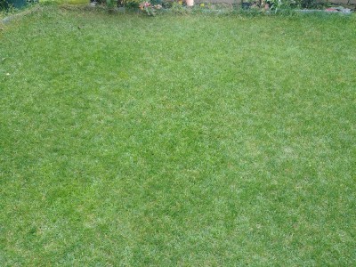 20170930_090855.jpg