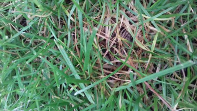 20171002_085932.jpg