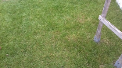 20171002_085827.jpg