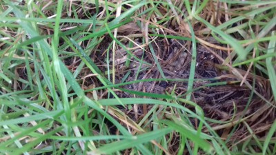 20171002_085907.jpg