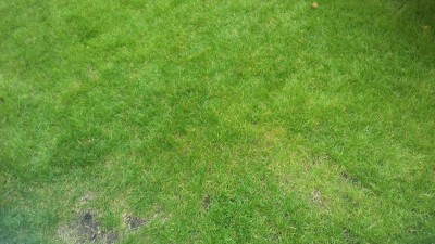 20171002_124952.jpg
