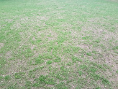 20171002_191941.jpg