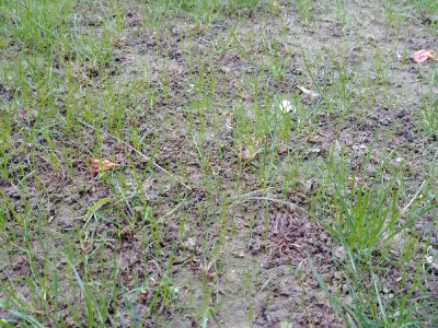 20171007_092043.jpg