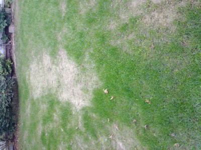 20171007_092130.jpg