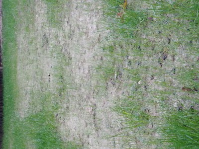 20171007_092138.jpg