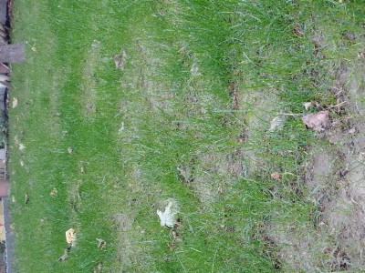20171007_092149.jpg