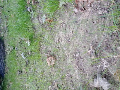 20171007_092201.jpg