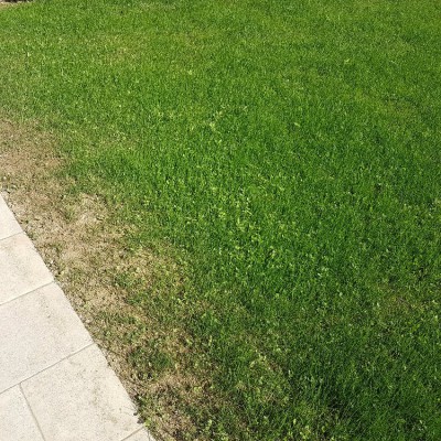 20171013_134857.jpg