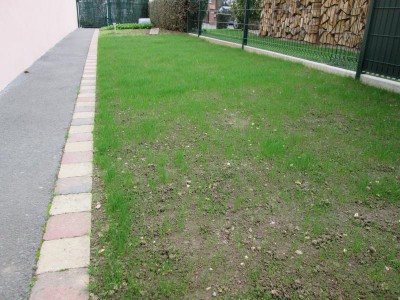 IMG_2897.JPG