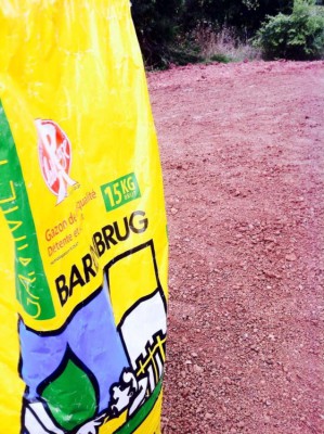 Barenbrug EM22