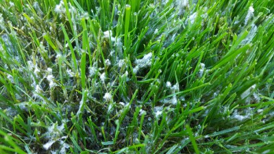 20171014_124608.jpg