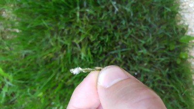 20171015_183435.jpg