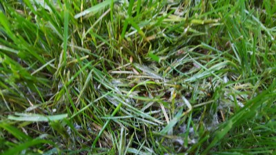 20171015_183354.jpg