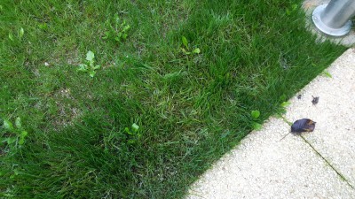 20171015_183348.jpg