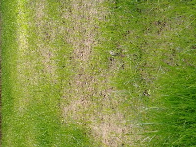 20171014_161507.jpg