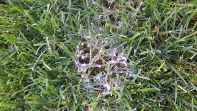 20171017_190634.jpg