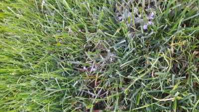 20171017_190641.jpg