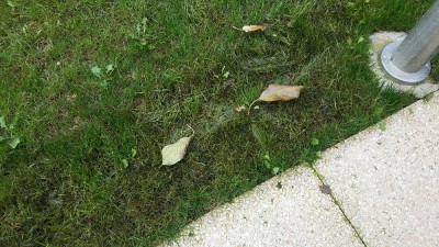 20171020_122012.jpg