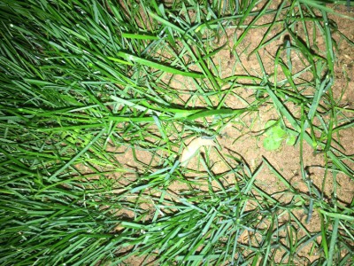 IMG_0795.JPG