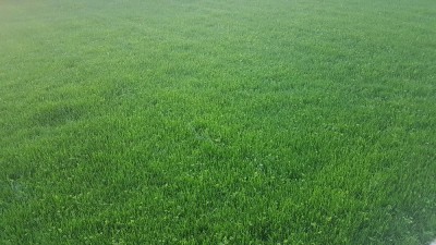 20171024_082340.jpg