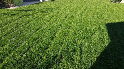 20171025_161201.jpg