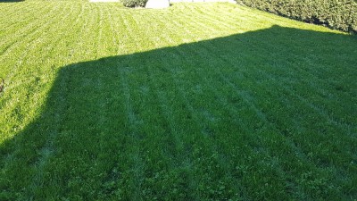 20171025_161142.jpg