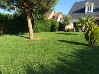 15 jours apres