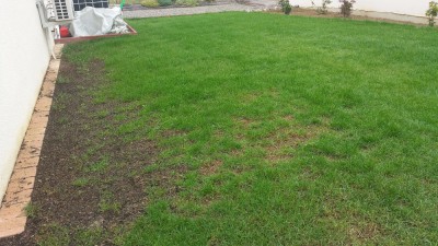 20171030_083831.jpg