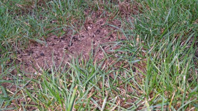 20171030_083847.jpg