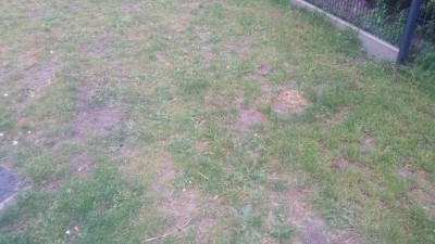 20151005_163701.jpg