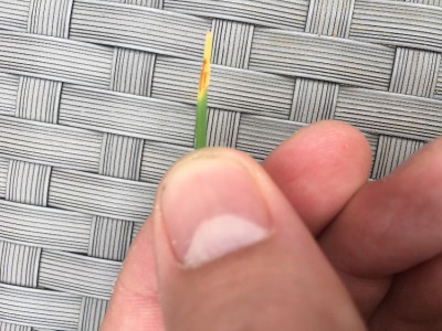 F131C30E-7134-47EA-964F-D211CF14213F.jpeg