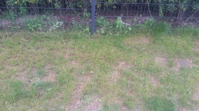20151005_163705.jpg
