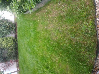 20171104_133309.jpg