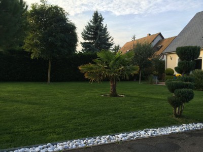 1 mois après