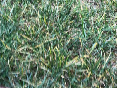 IMG_2894.jpg