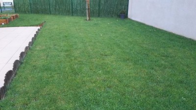 IMG_20171112_165754.jpg